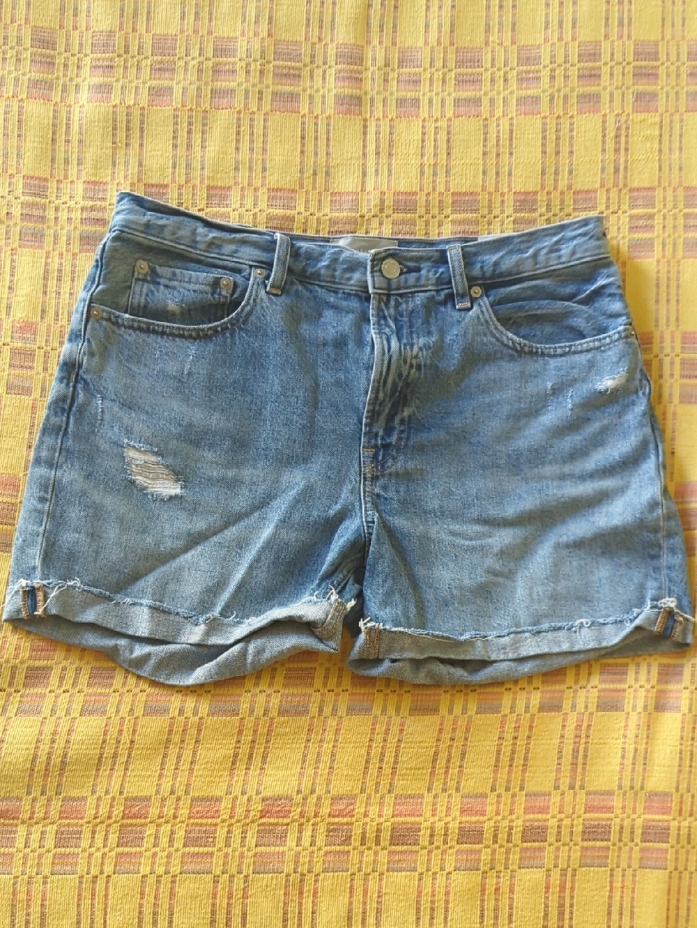 Everlane Distressed Denim Shorts 29